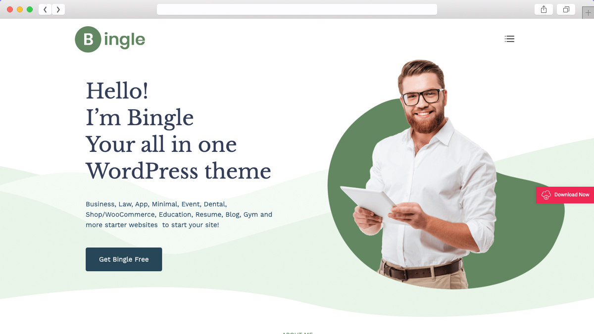 Bingle One Of The Best Mobile Friendly Ecommerce WordPress Theme