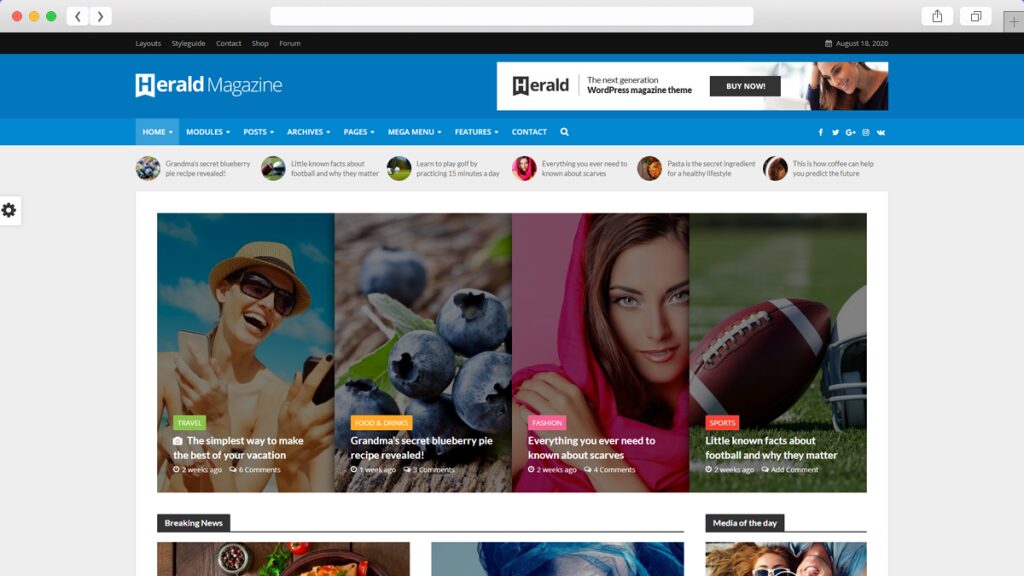 19. Herald AdSense Optimized WordPress Themes