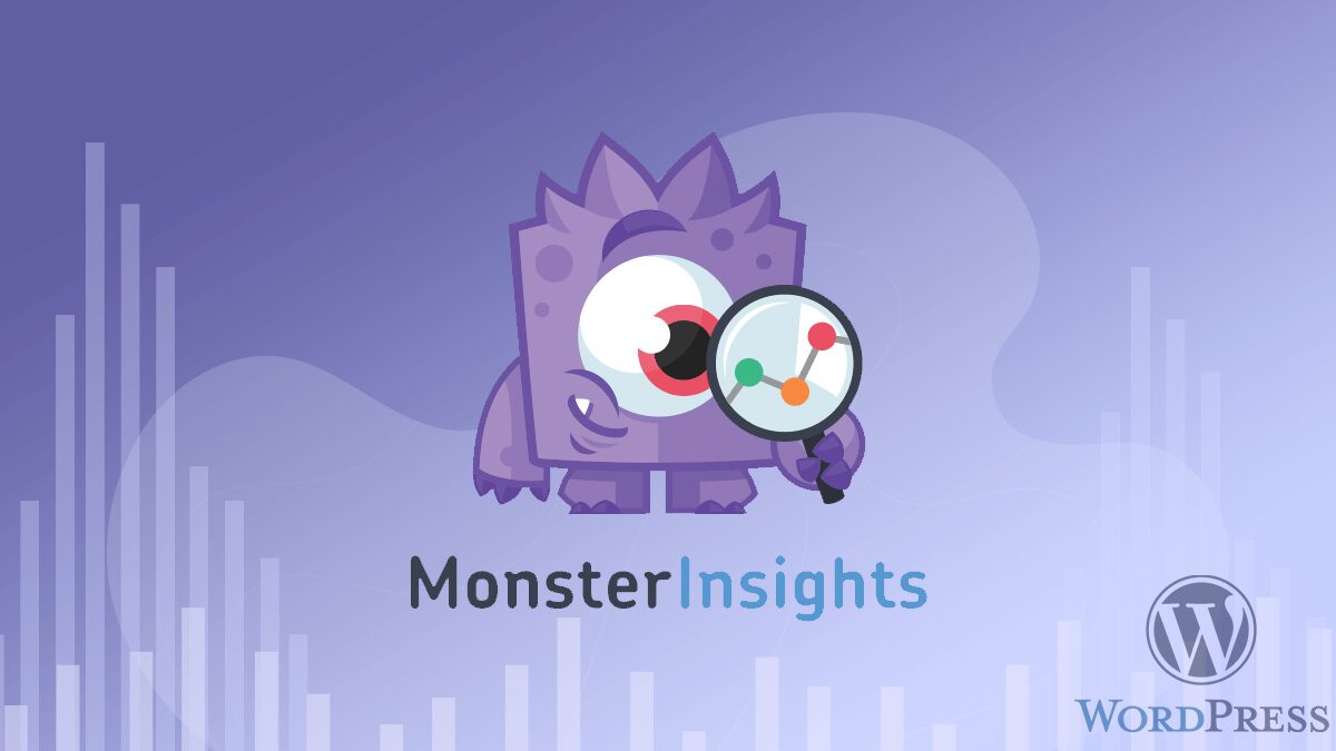 MosterInsights is the another most popular WordPress plugin