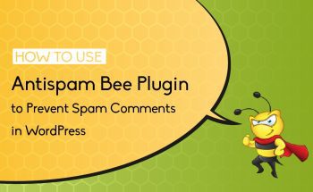 Antispam Bee Plugin to Prevent Spam Comments in WordPress