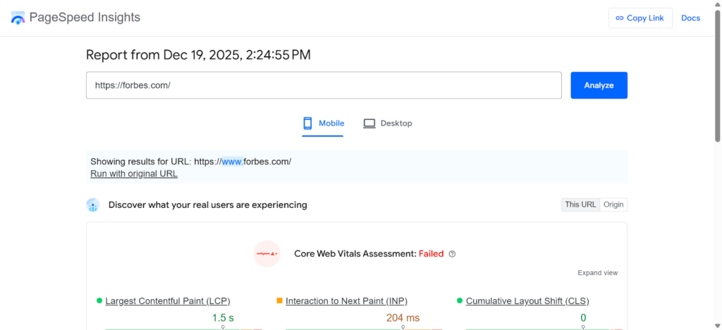 PageSpeed Report